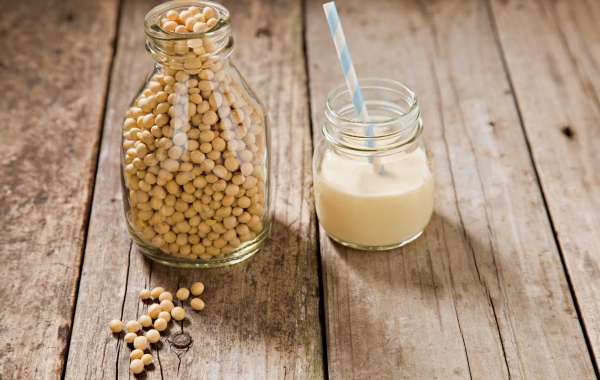 Leite vegetal entenda o que é e como fazê-lo em casa