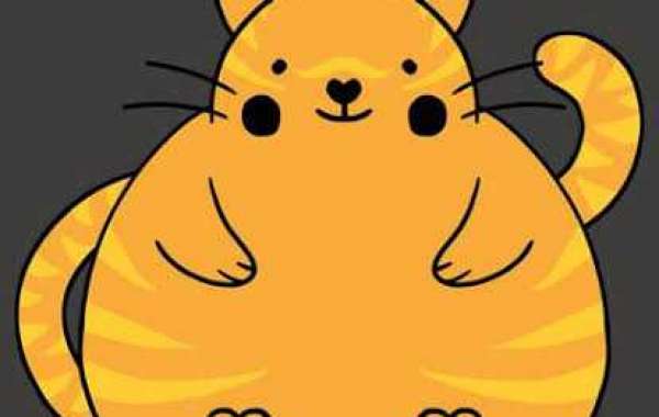 Como comer para perda de gordura e ganho muscular sem contar calorias