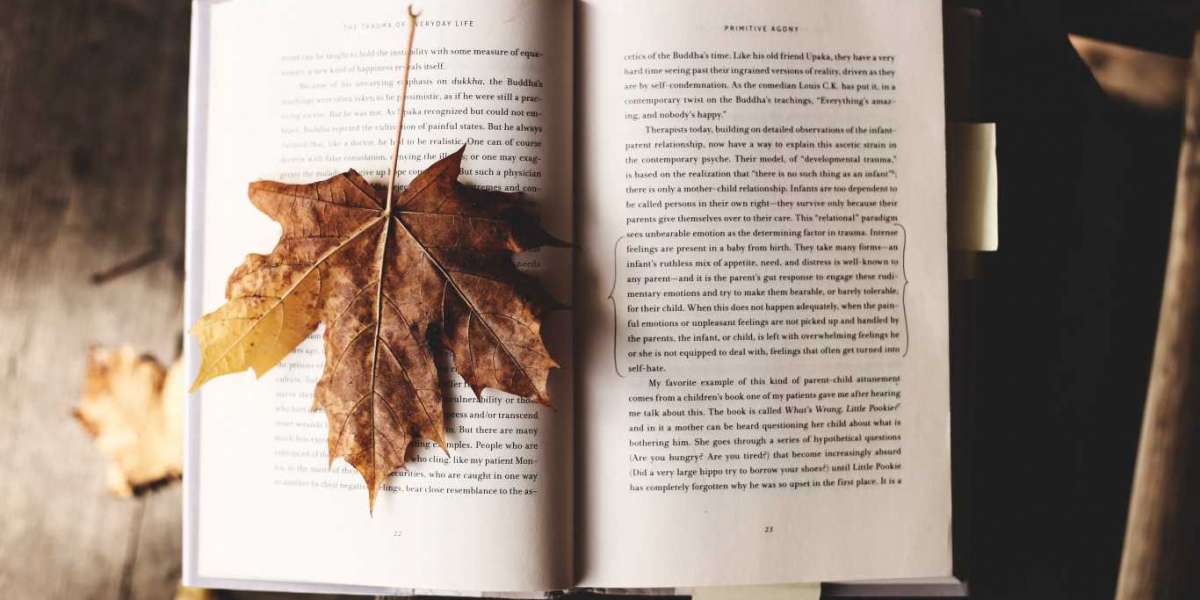 Os segredos de como aprender mais rápido e melhor