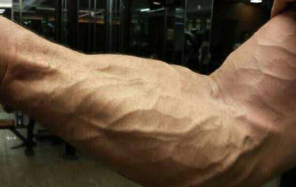 Entenda o que é e como aumentar a vascularização