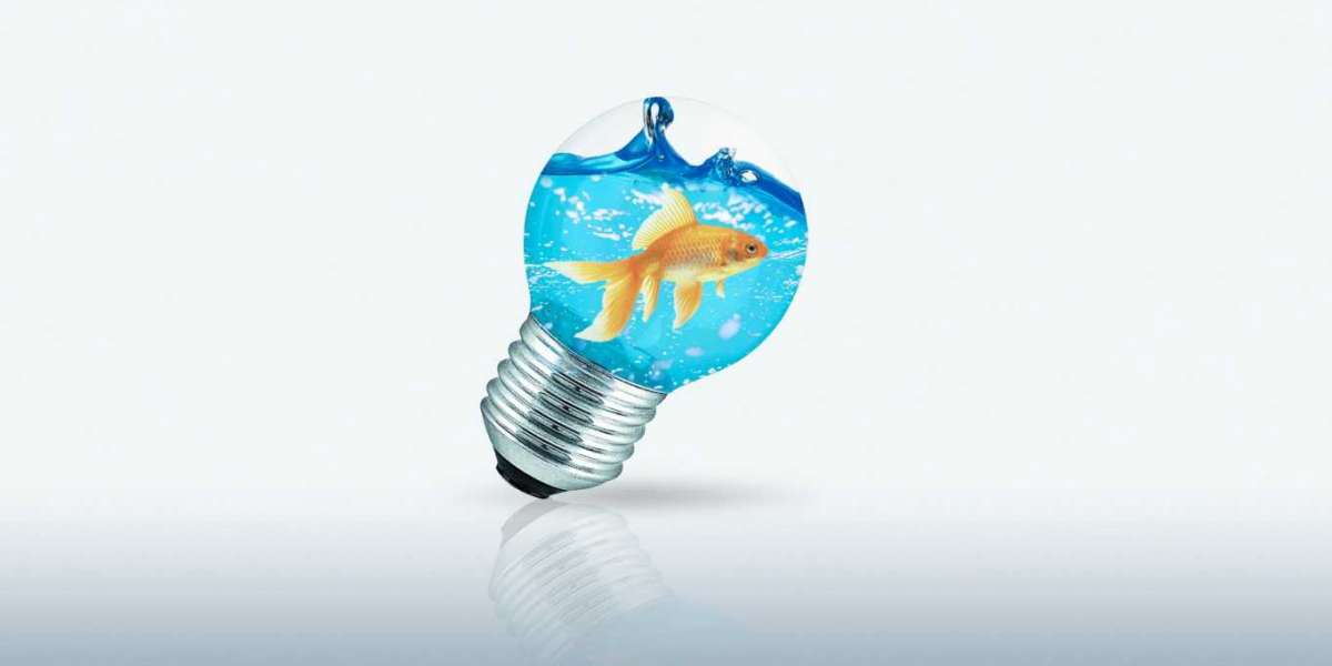 Metodologia em Marketing de Conteúdo: conheça os estágios de maturidade