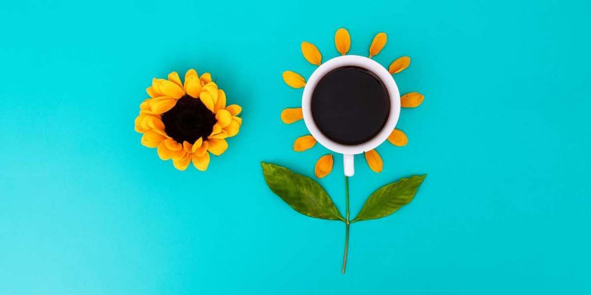 Qualidade vs. quantidade: qual você ganharia na produção de conteúdo?