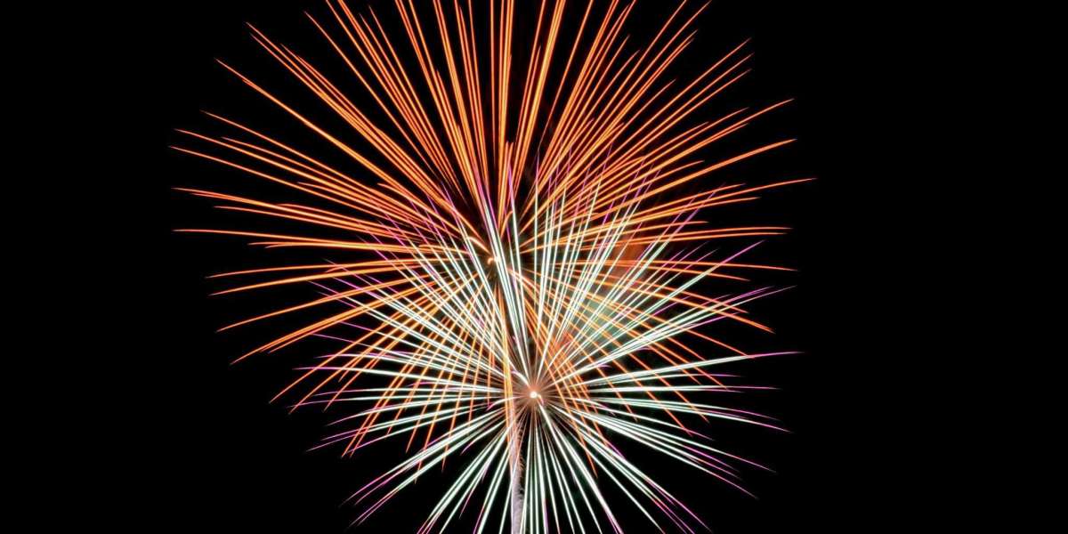 O que é malware? Como se proteger de vírus, trojans e cryptolockers