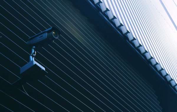 Cinco dicas para proteger sua rede domestica