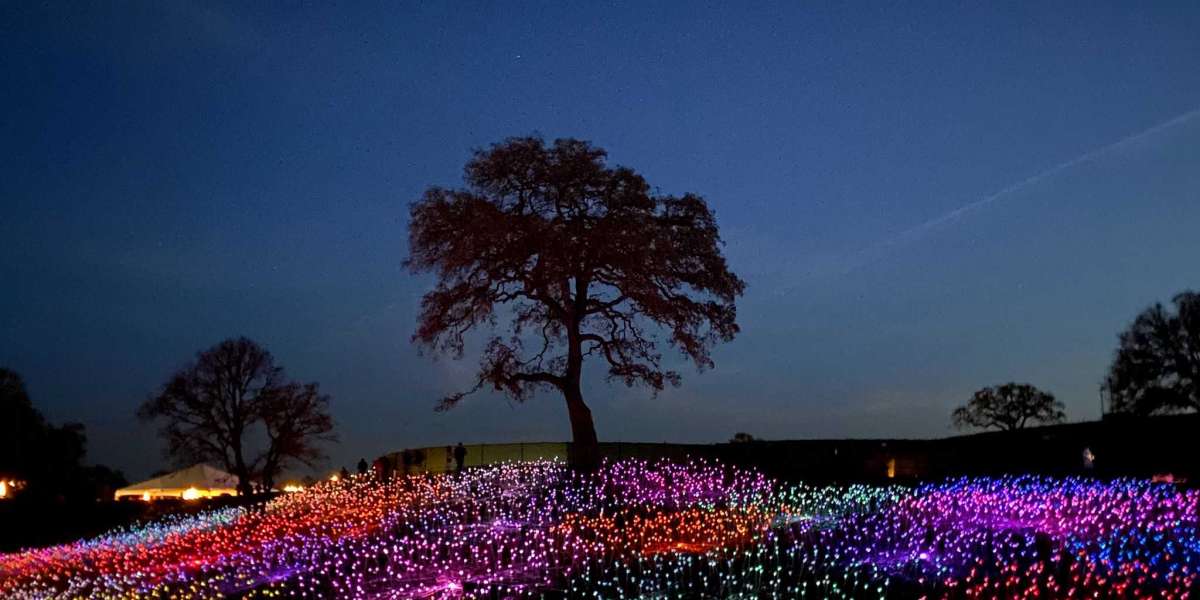 21 termos de marketing de conteúdo que todo profissional deve conhecer