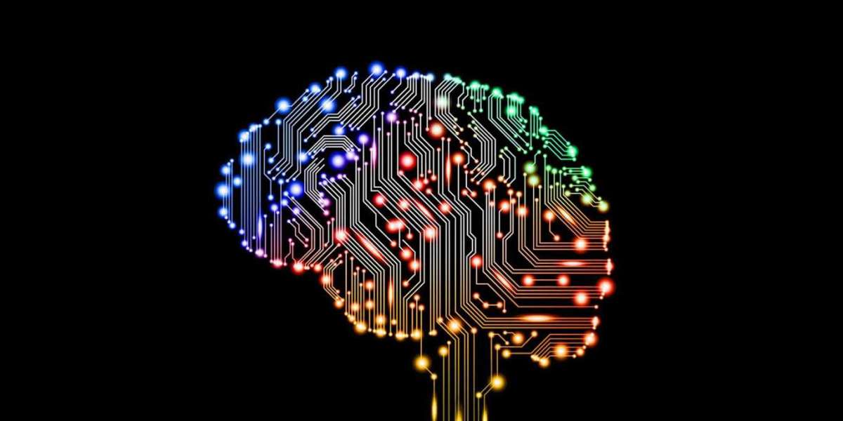 Mantendo seu cérebro treinado | Um guia para o bem-estar mental