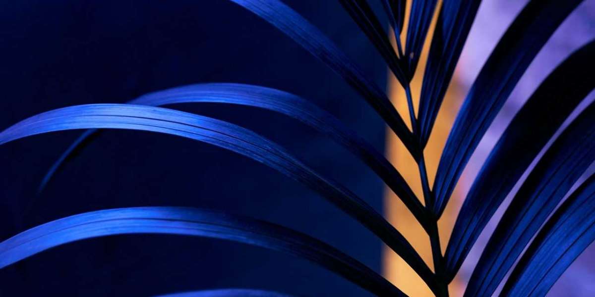 O que os mecanismos de pesquisa podem nos dizer sobre as restrições da Internet