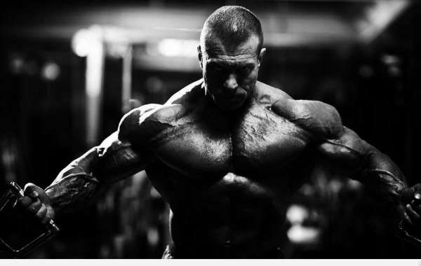 Como evoluir seu físico!