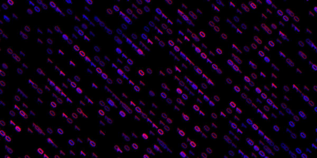 Guia do iniciante para nomear itens em seu código