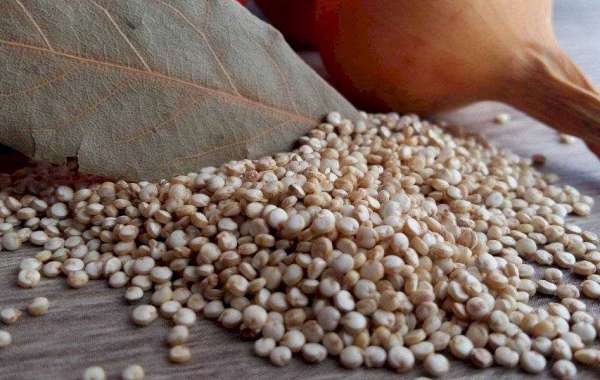 Estes 5 alimentos contêm mais proteínas que os ovos e podem ser ótimas alternativas