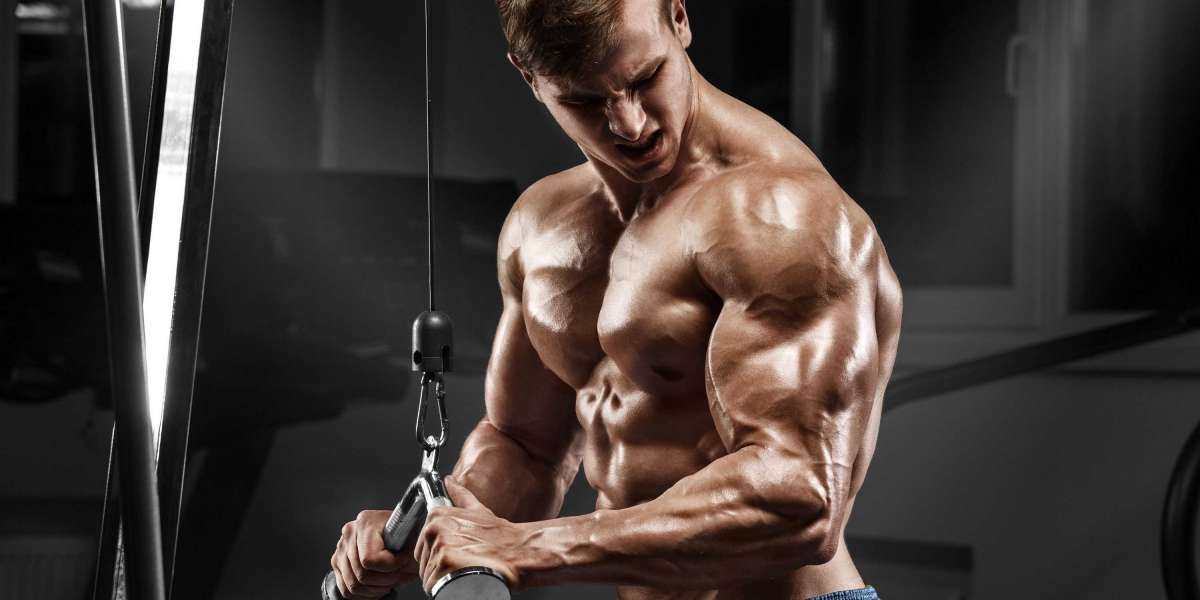 É bom fazer cardio no estágio de Bullking?