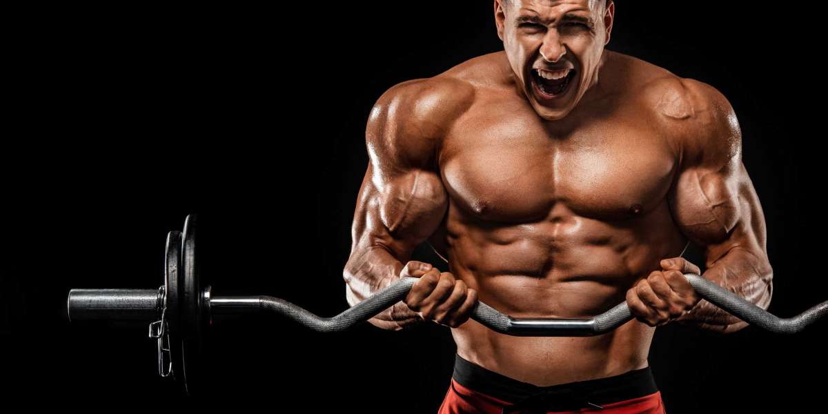 O comprimento do seu treino importa?