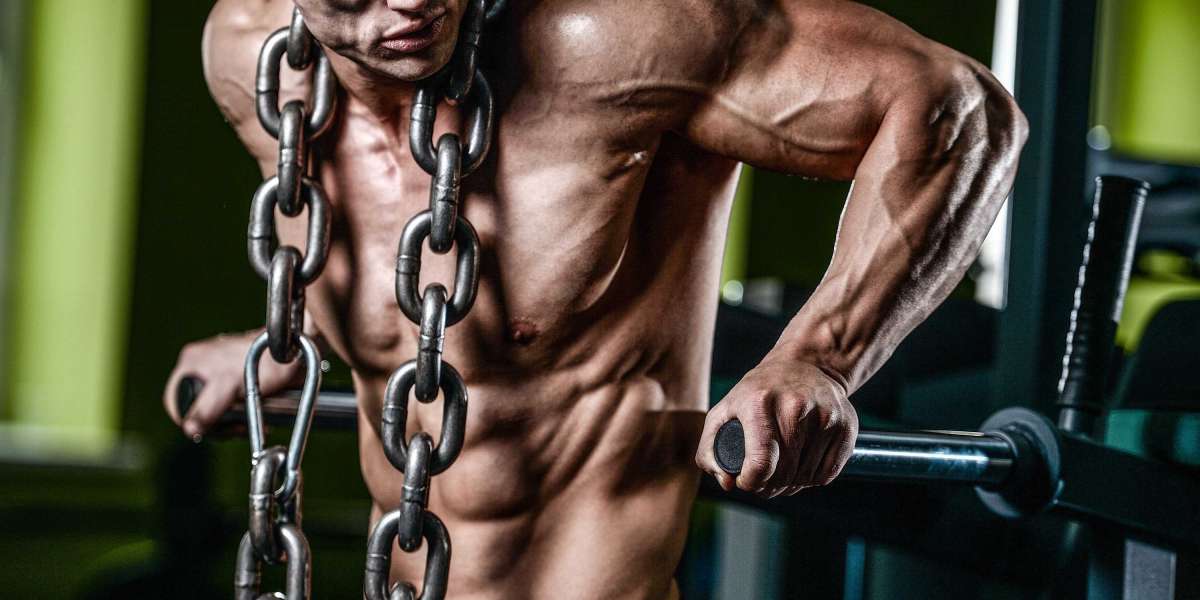 Pergunte ao Cara Rasgado: Como vou de desnutrido a definido?