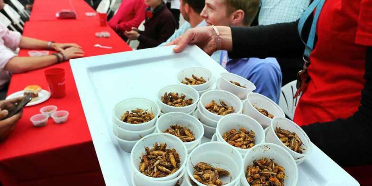 Por uma vida mais fitness. As razões pelas quais deveríamos comer insetos
