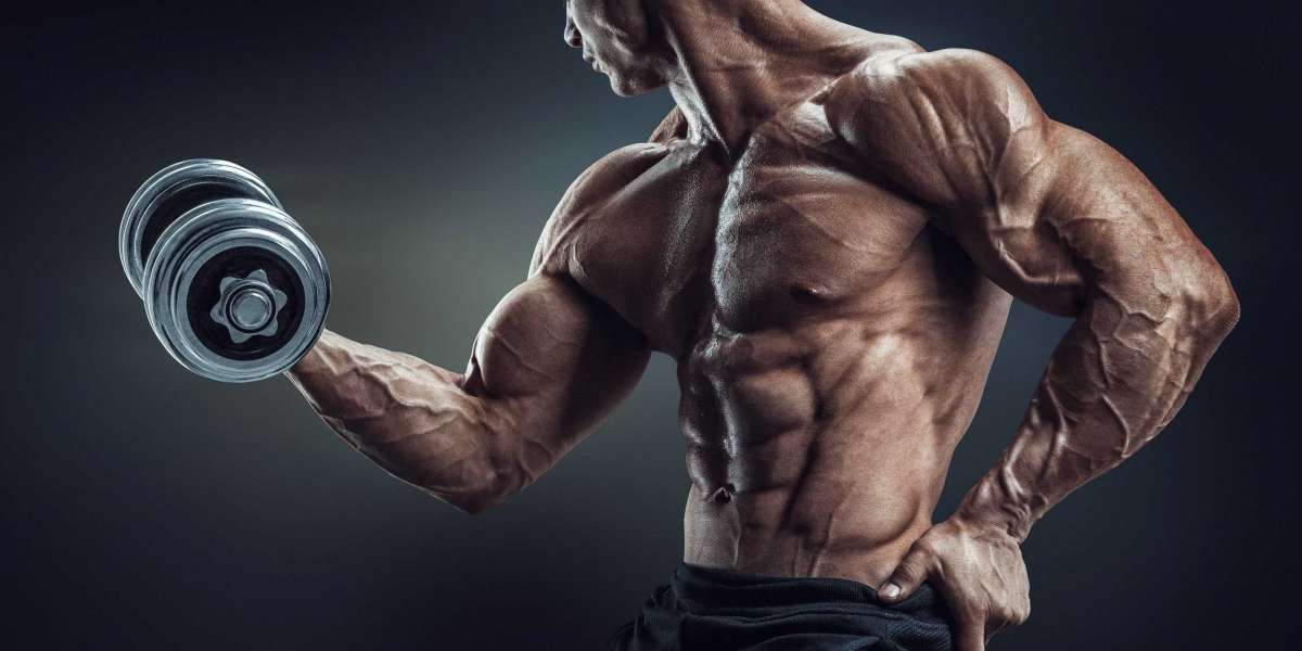 Treinos de hipertrofia. Protocolo prático