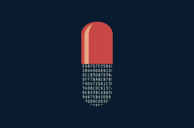 Uma enorme apreensão de drogas levanta questões sobre o anonimato da dark web