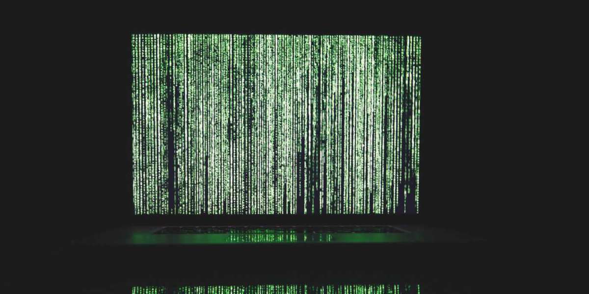 Como o cracking de força bruta pode revelar sua senha