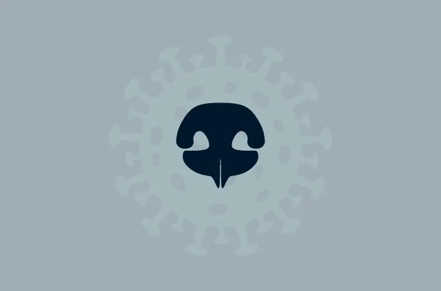 Um novo rastreador Covid-19 menos invasivo: cães farejadores