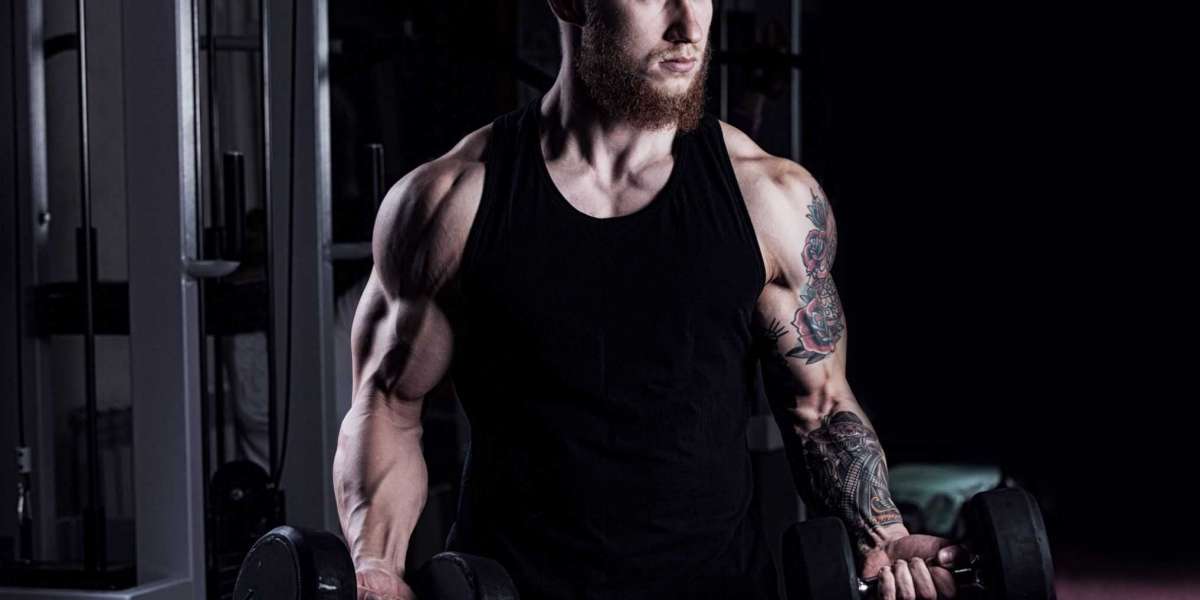 Posso usar creatina no cutting