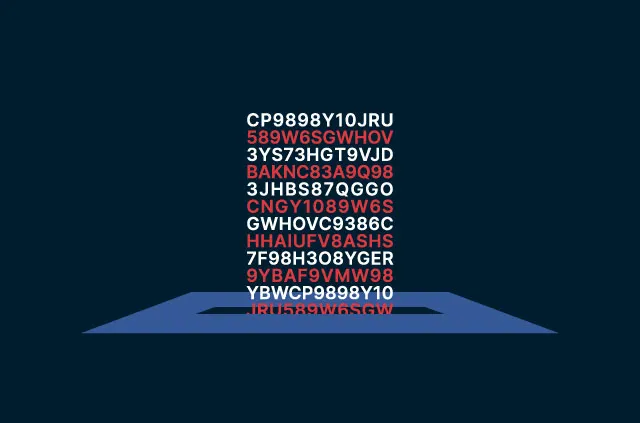 Os eleitores escolheram seus direitos digitais no dia da eleição