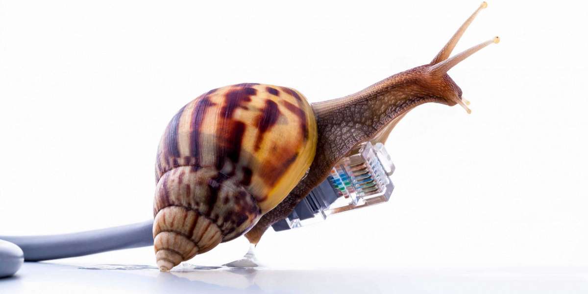 Medindo a produtividade do desenvolvedor