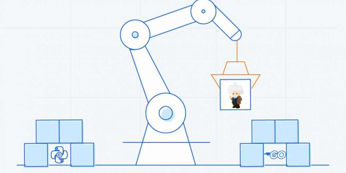 Einstein Analytics e Go