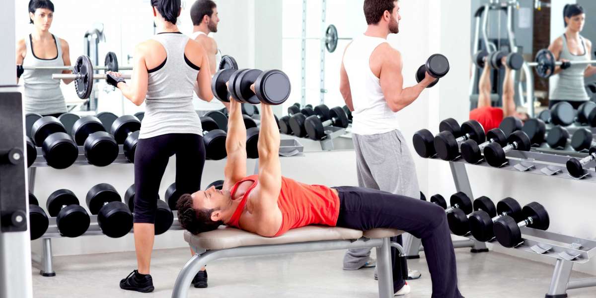 Qual a melhor otimização de treino