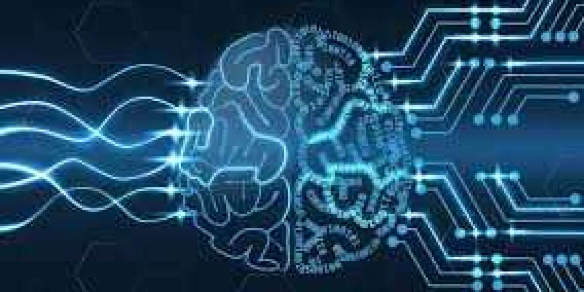 Dados confidenciais e como protegê-lo