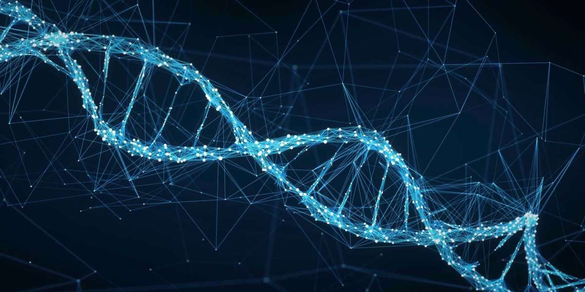 Qual é a dosagem de esteróide mais alta que o corpo pode realmente usar?