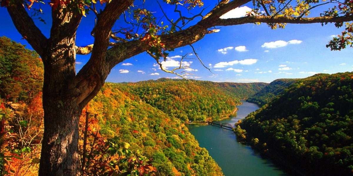 Virgínia ofereceu recorde de redução de impostos para atrair data centers