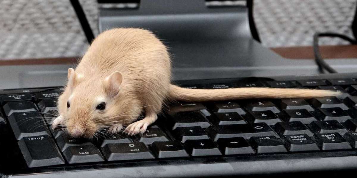 Air-FI: outra forma de roubar dados de computadores isolados