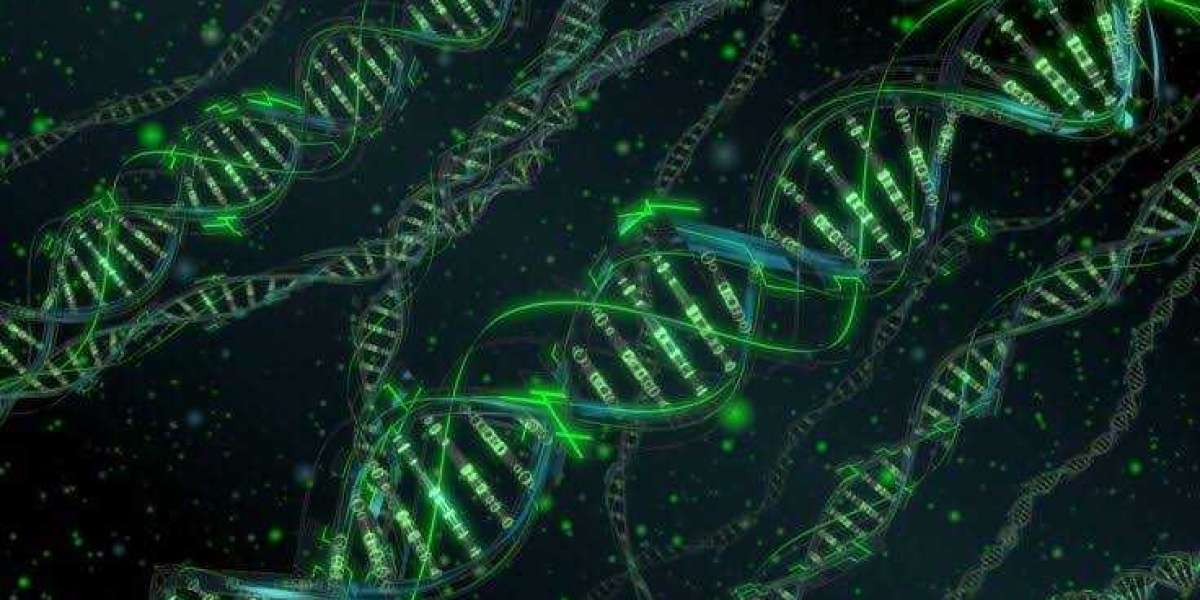 Deca Durabolin vs trembolona: quando e por que usar cada um?