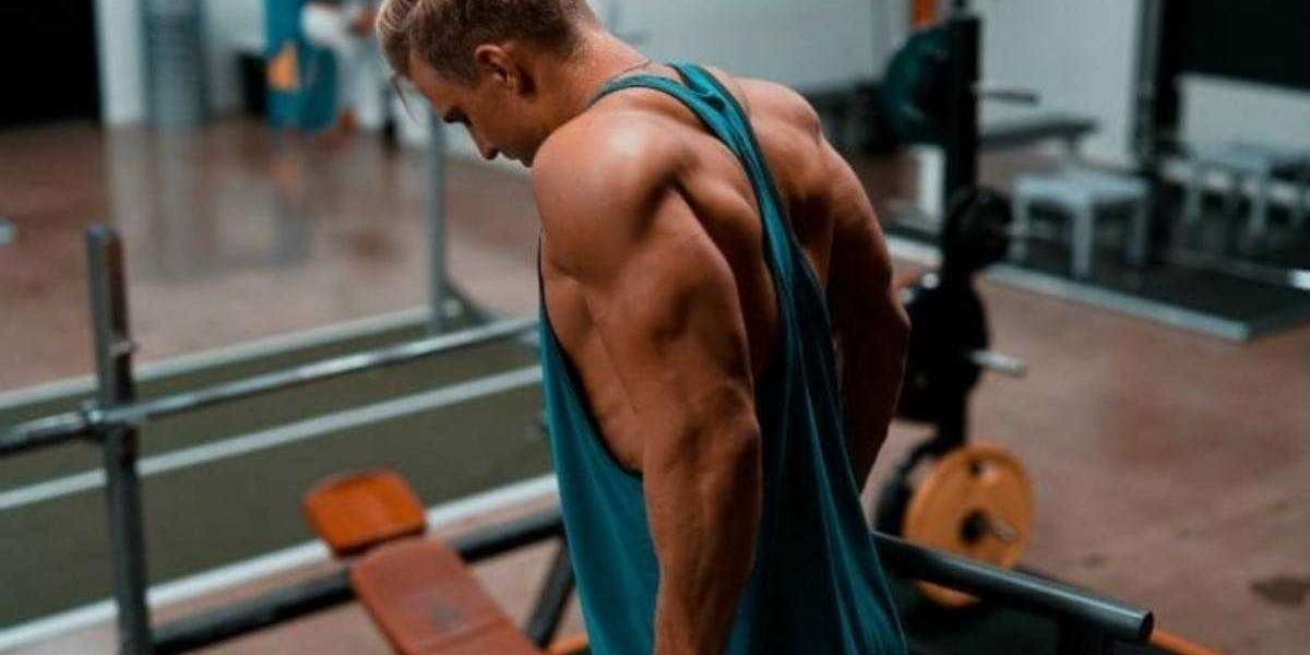 8 exercícios para tríceps maiores