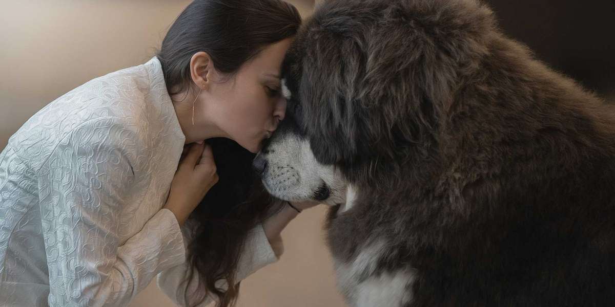 Ética de dados: quando suas imagens públicas são usadas para lucro