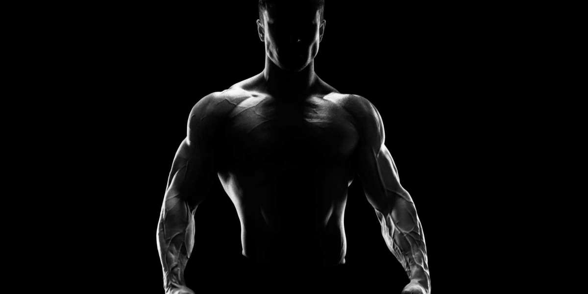 Ganhando massa muscular iniciantes