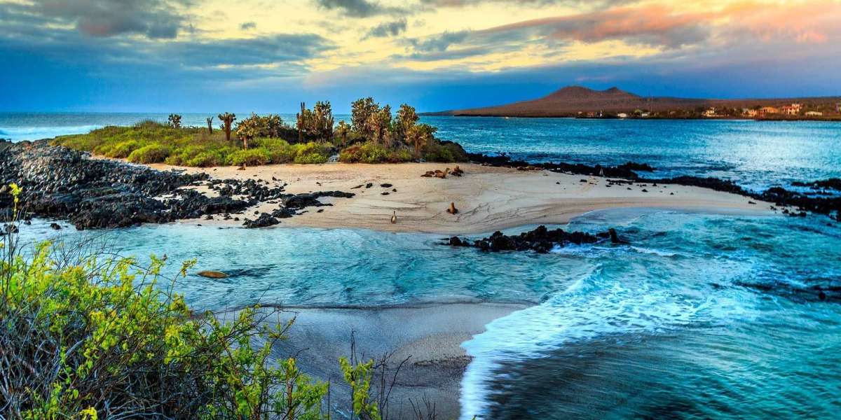 Ilhas de Galápagos tem uma das melhores conexões submarinas do mundo 20 Tbps