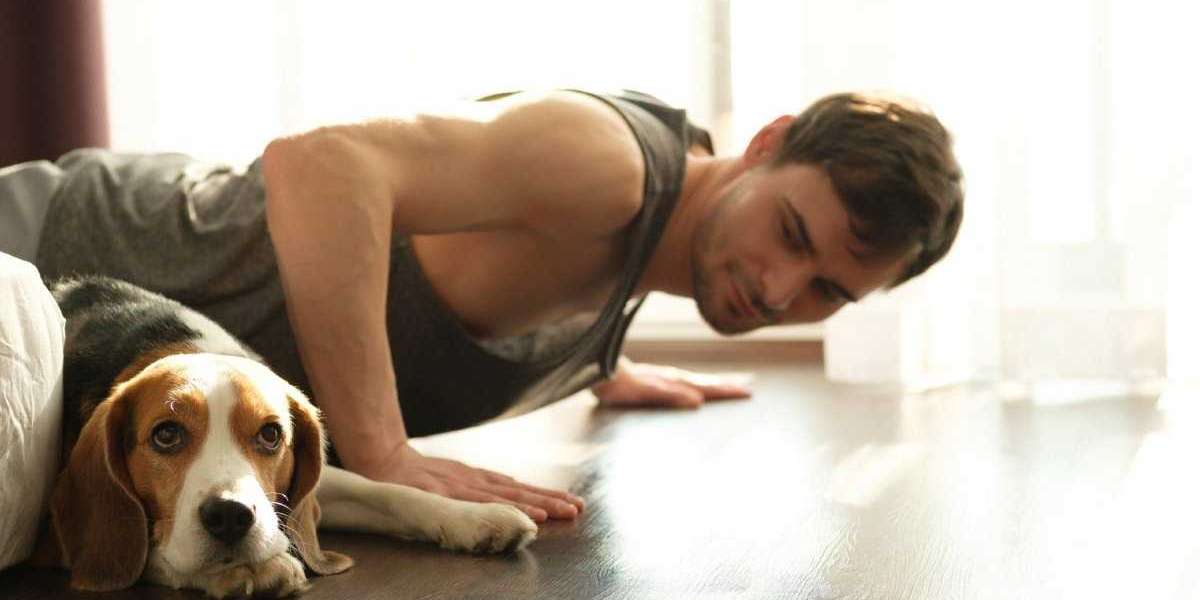 Treinando em casa Exercícios com pesos alternativos