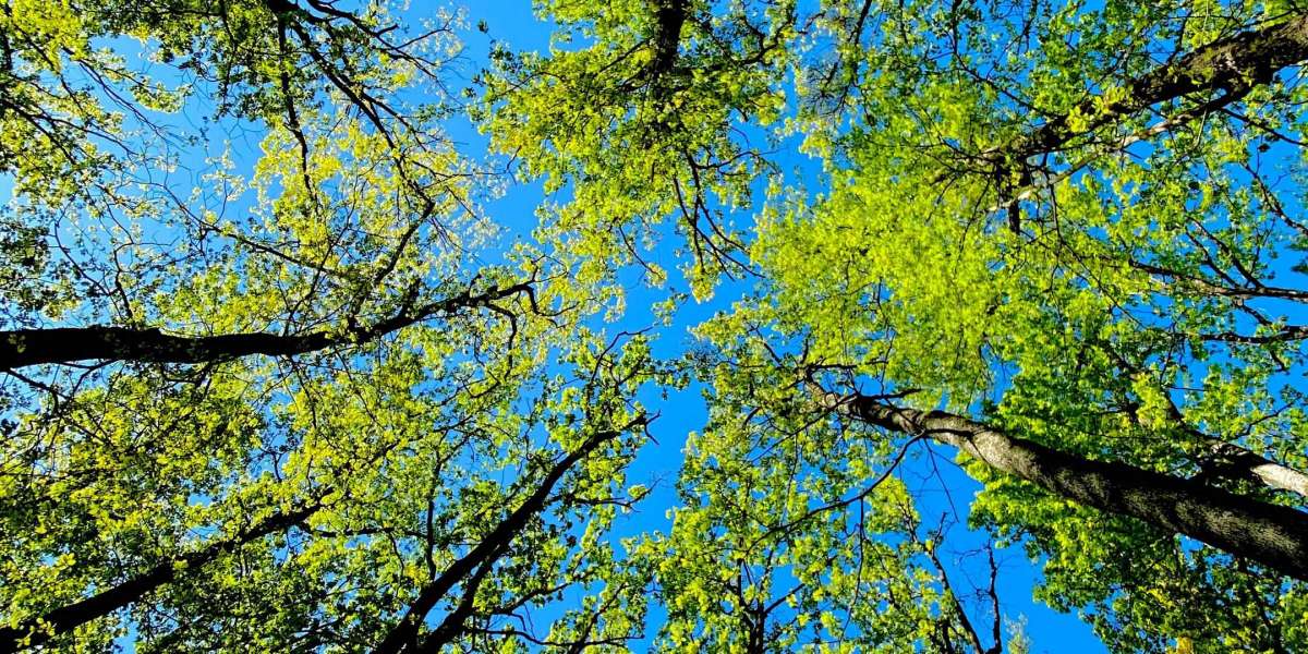 Maior privacidade para usuários do Avance Network, graças ao Master-Bit nossa criptografia