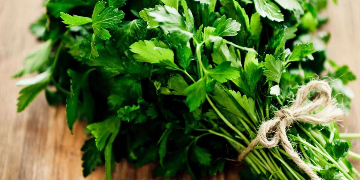 Salsa: conheça os benefícios deste superalimento