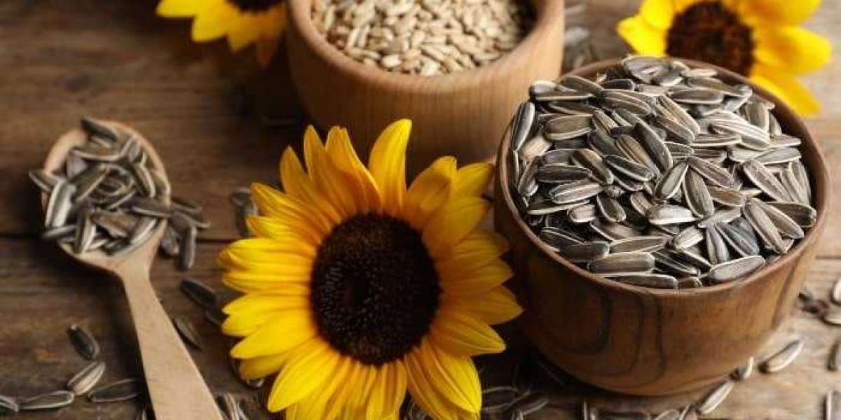 Sementes de girassol: Nutrição e benefícios para a saúde