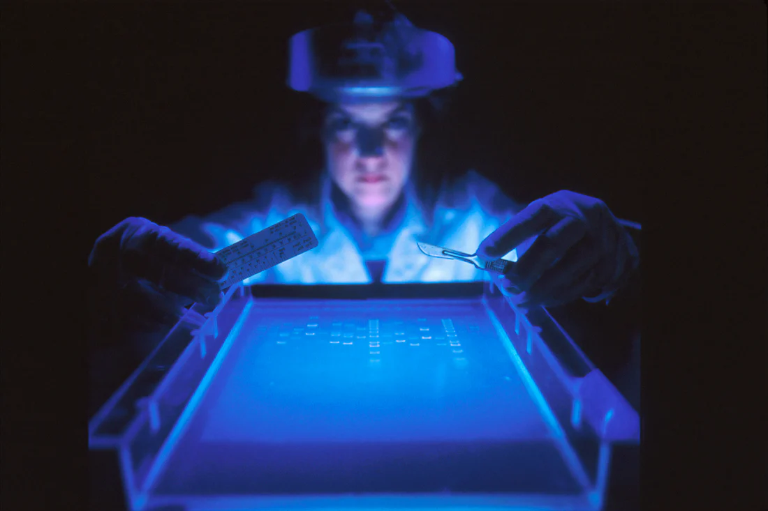 A previsão de DNA facial pode dificultar a proteção de sua privacidade