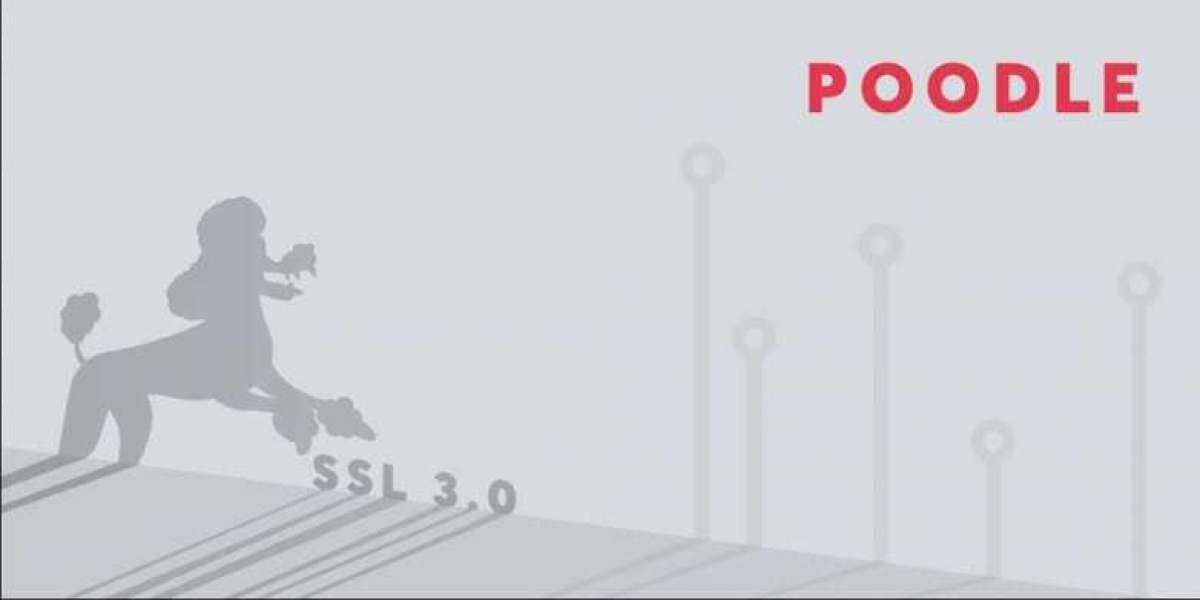 O que é um ataque de poodle?